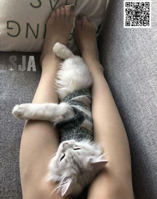 免费永久看直播app下载排行_720手机在线观看