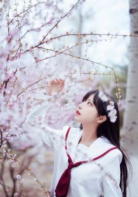 BD免费全集观看_高清在线视频观看